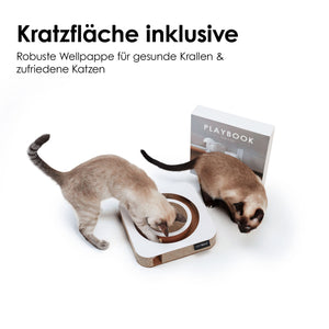 Zwei Katzen spielen am interaktiven PLAYBOOK Kratzbrett aus Wellpappe mit runder Kratzfläche und integriertem Ball, Verpackung im Hintergrund