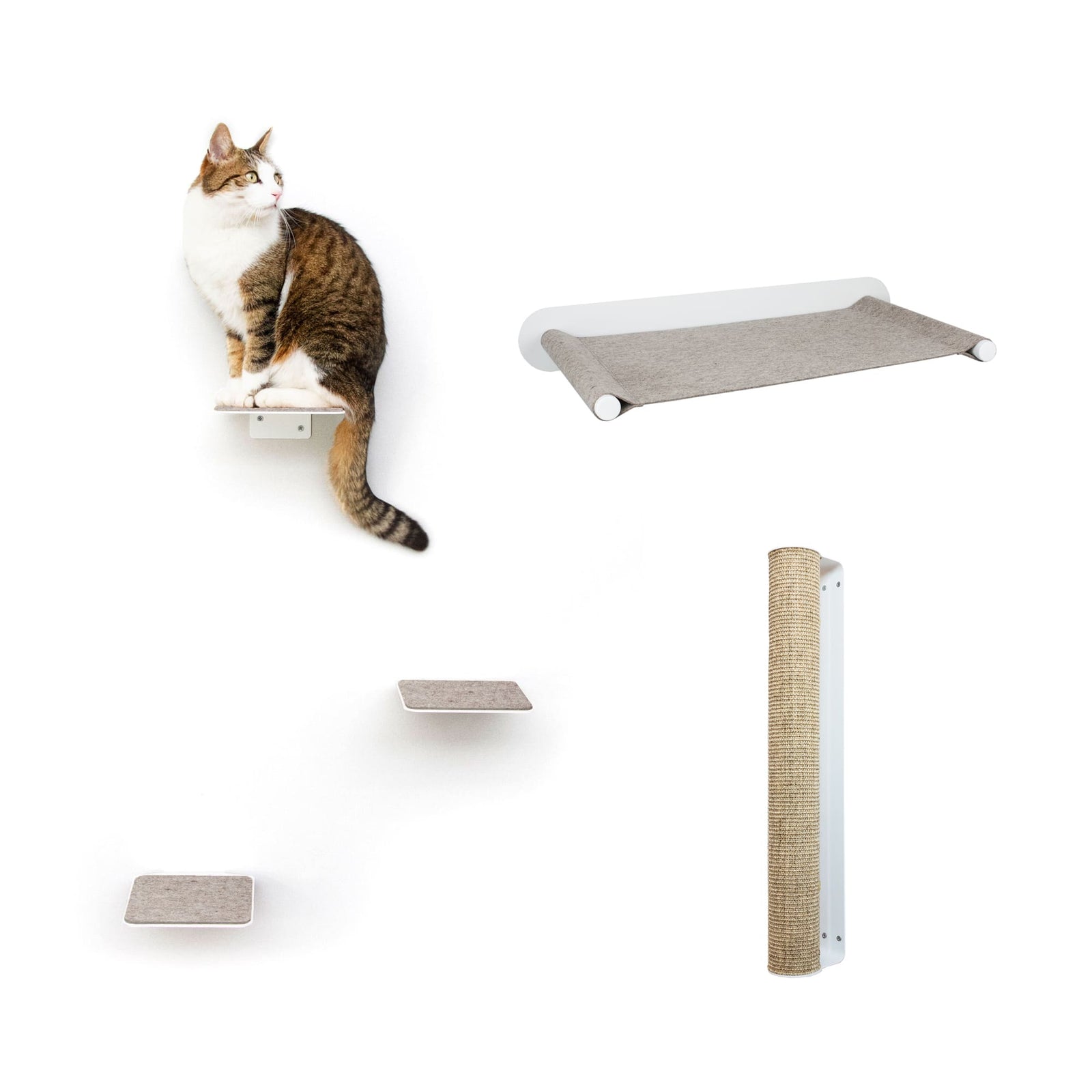 Katzenwand Set Weiß mit STEPS Stufen, SWING Hängematte und CATWALK Kratzsäule, Katze auf Stufe