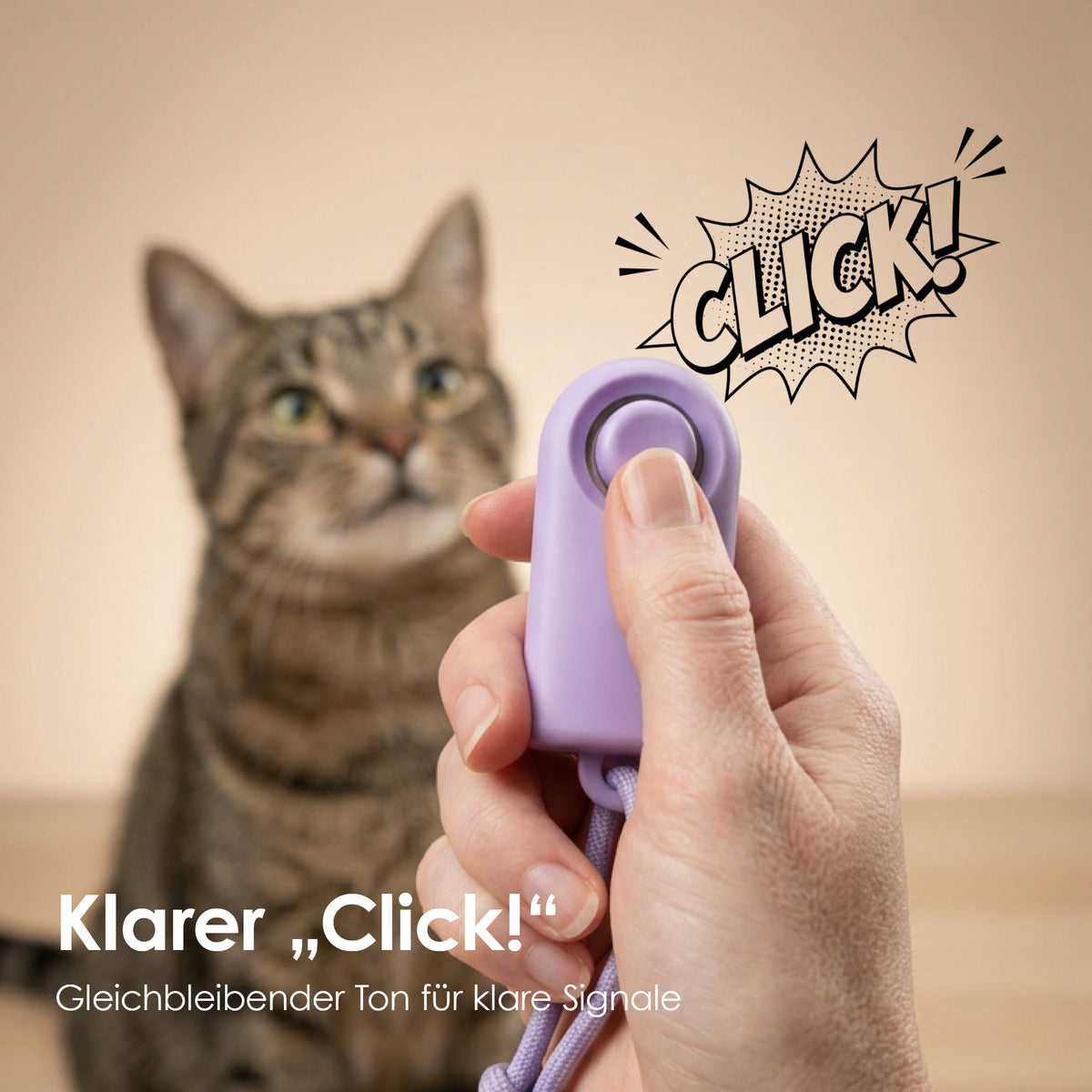 Katze mit CLICKER Trainings-Klicker – klarer „Click!“