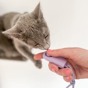 Katze schnuppert an CLICKER Trainings-Klicker in der Hand