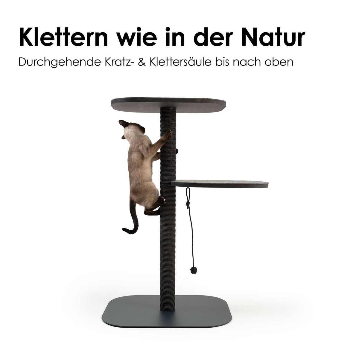 Katze klettert am robusten Sisal-Kratzstamm des PEAK Kratzbaums in Anthrazit – Klettern wie in der Natur.