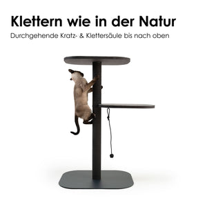 Katze klettert am robusten Sisal-Kratzstamm des PEAK Kratzbaums in Anthrazit – Klettern wie in der Natur.