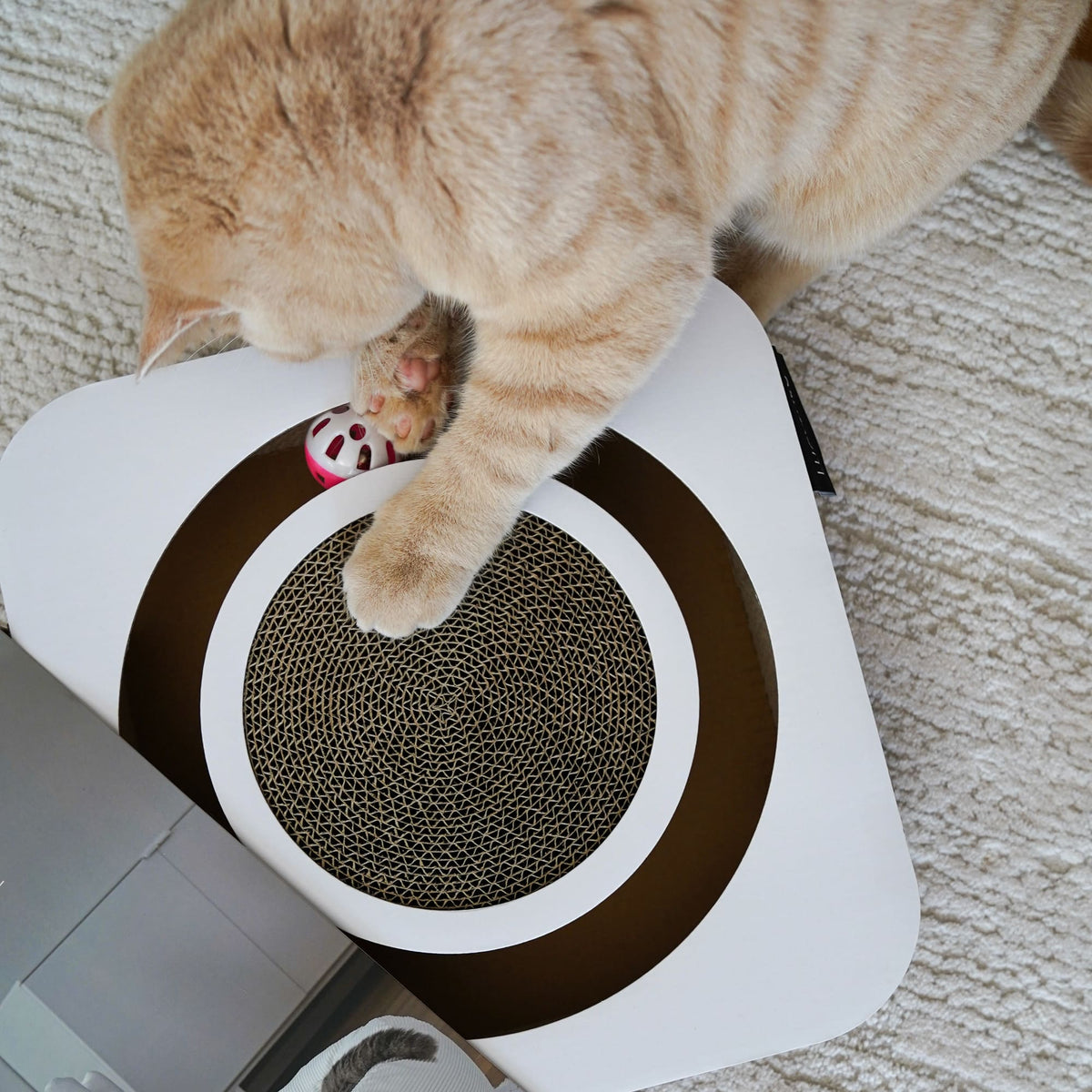 Orangefarbene Katze greift mit der Pfote in das LucyBalu PLAYBOOK Kratzbrett und bewegt den versteckten Spielball in der umlaufenden Öffnung