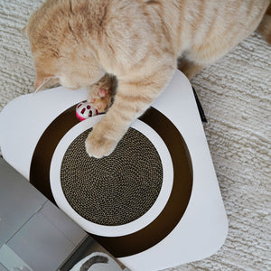 Orangefarbene Katze greift mit der Pfote in das LucyBalu PLAYBOOK Kratzbrett und bewegt den versteckten Spielball in der umlaufenden Öffnung