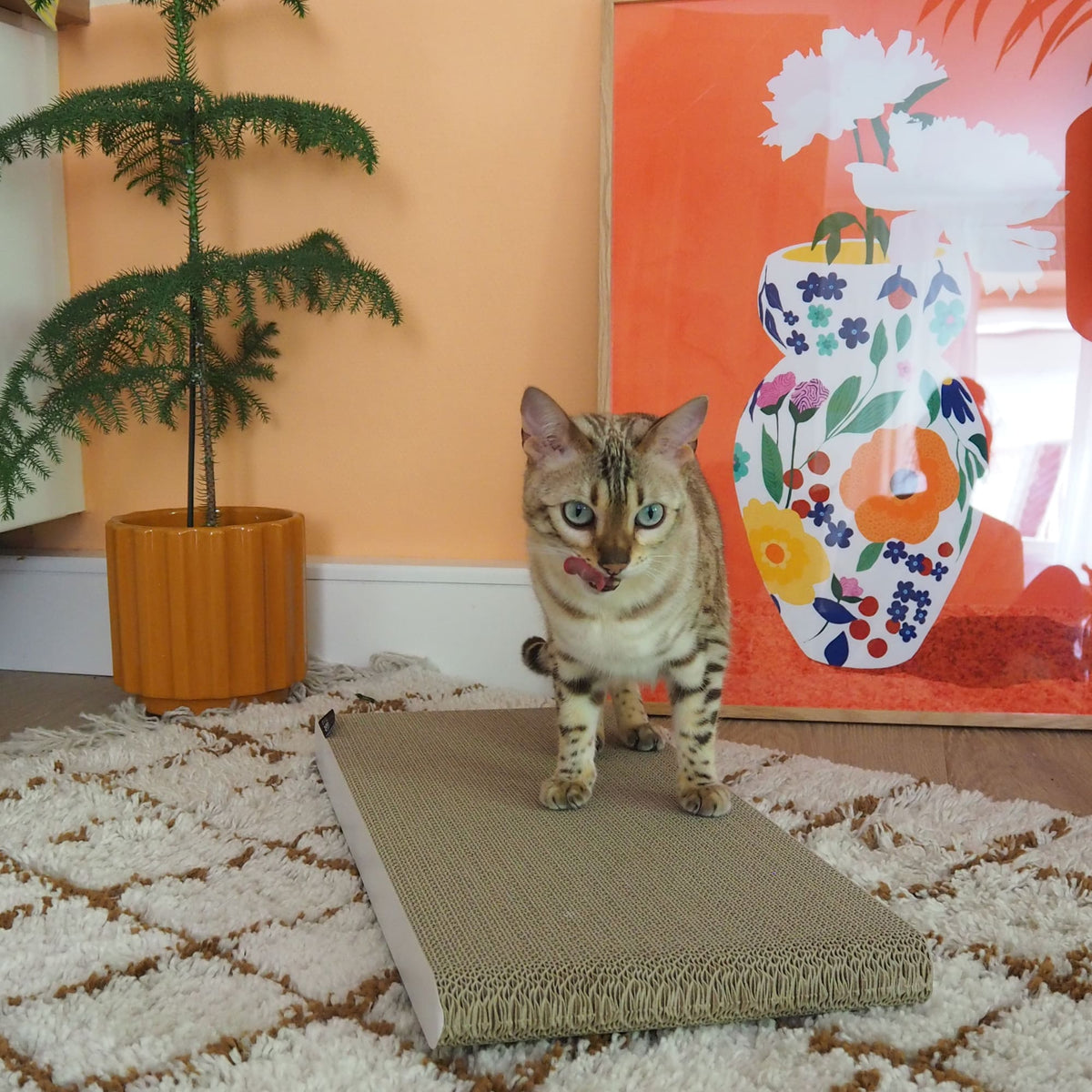 Gatto in piedi sulla tavola da grattare SCRATCHPAPER in un soggiorno arredato con colori vivaci