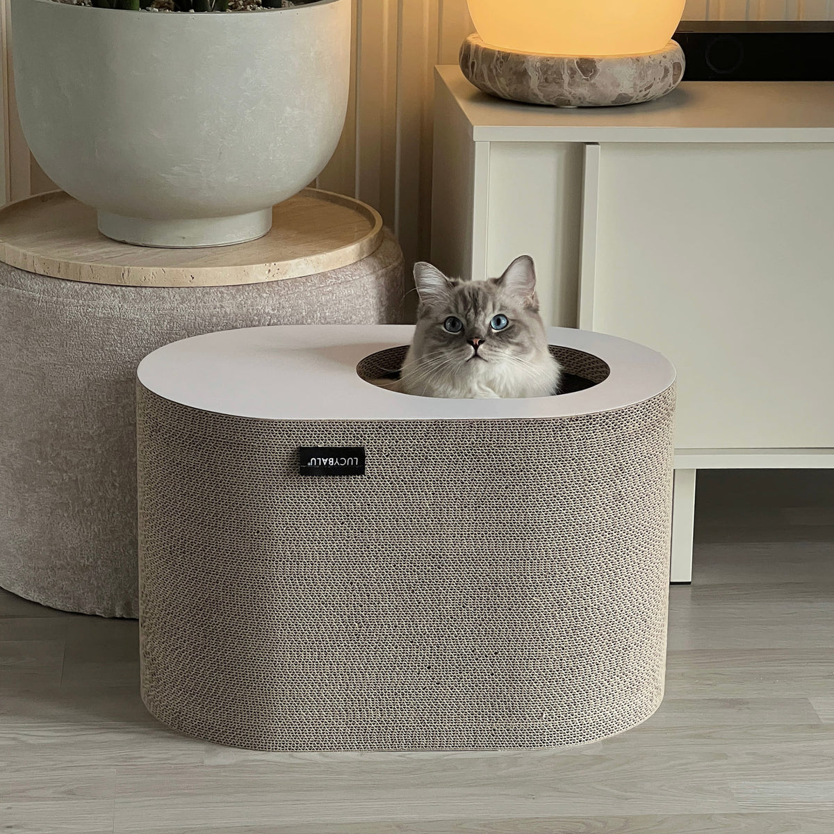 PAPERCAVE Katzenhöhle in Taupe, Ragdoll-Katze schaut aus der Öffnung