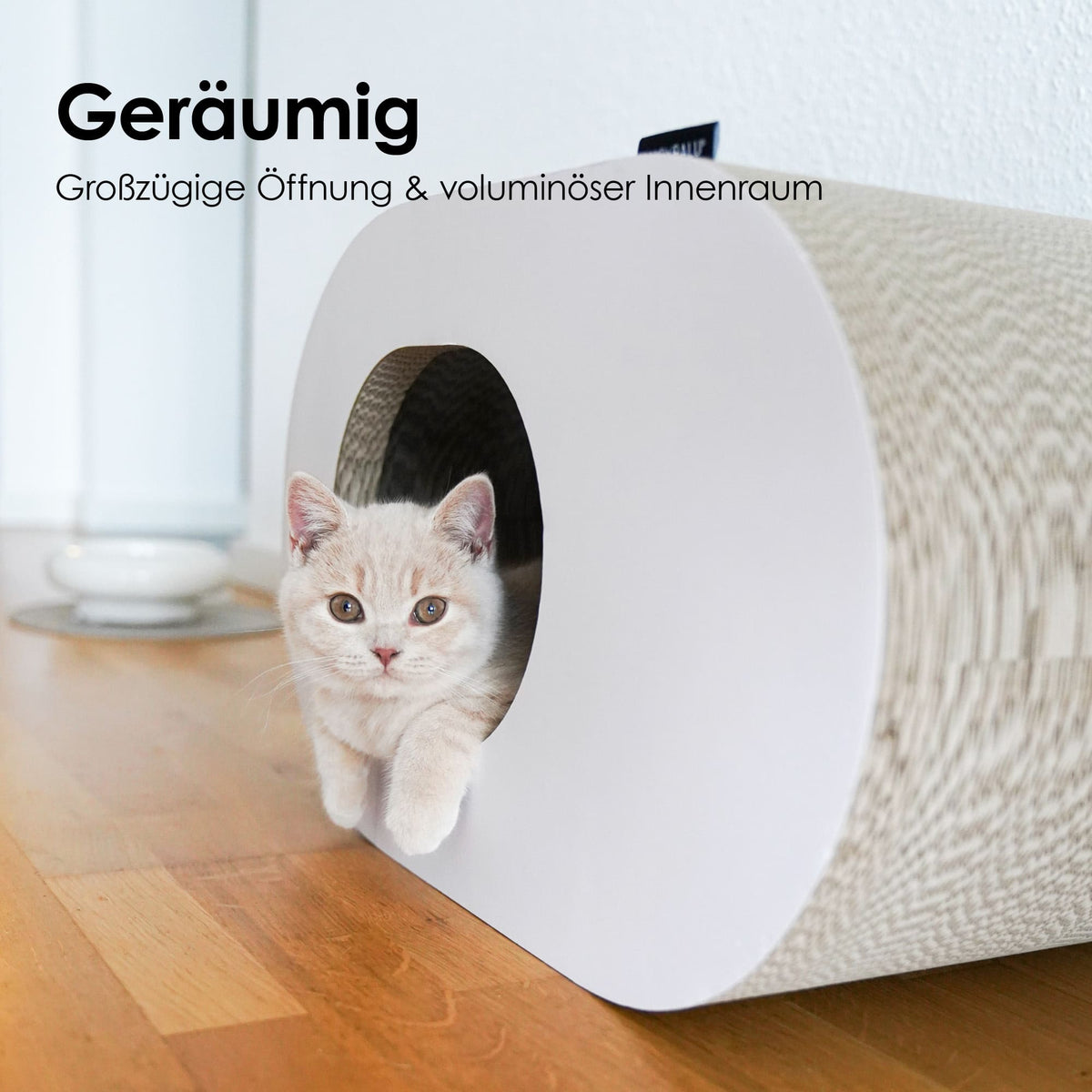 PAPERCAVE Katzenhöhle: Geräumig dank großzügiger Öffnung und voluminösem Innenraum, Kätzchen klettert heraus