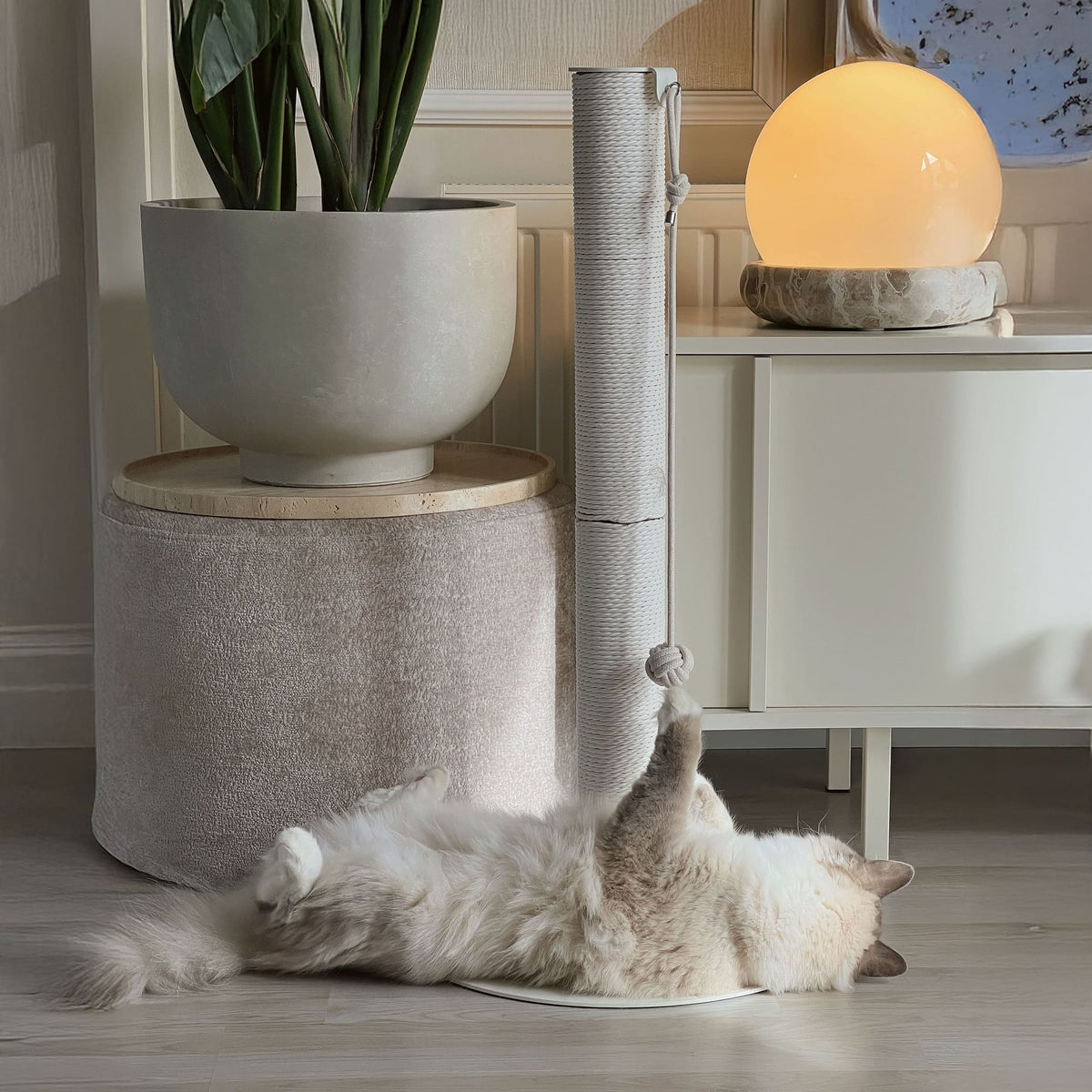 Gatto che gioca con la pallina alla colonna tiragraffi PAPERPOLE in bianco – salotto accogliente con pianta e lampada.