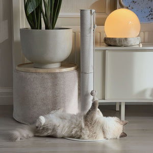 Gatto che gioca con la pallina alla colonna tiragraffi PAPERPOLE in bianco – salotto accogliente con pianta e lampada.