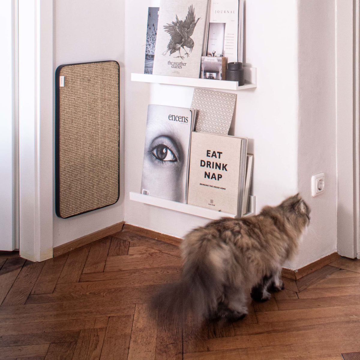 Planche à griffer moderne pour chats en anthracite/sisal