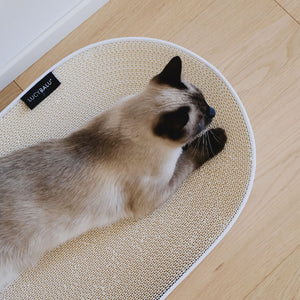 SCRATCHBED Kratzbett in Weiß, Siam-Katze räkelt sich auf der Wellpappe-Liegefläche