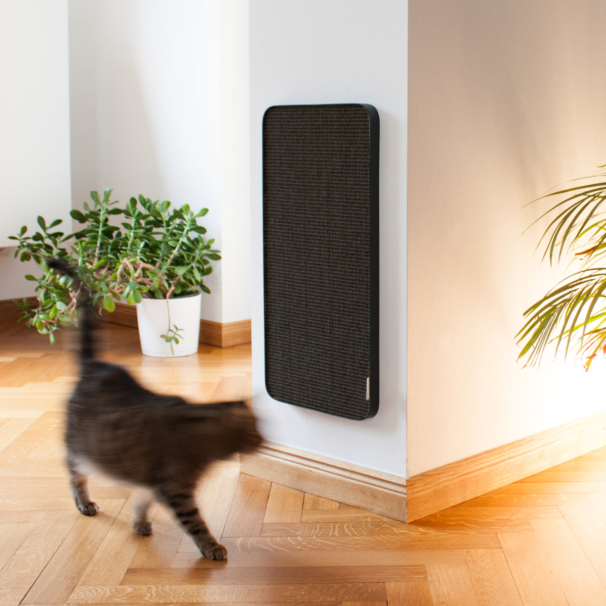 Planche à griffer pour chats à monter au mur, en anthracite