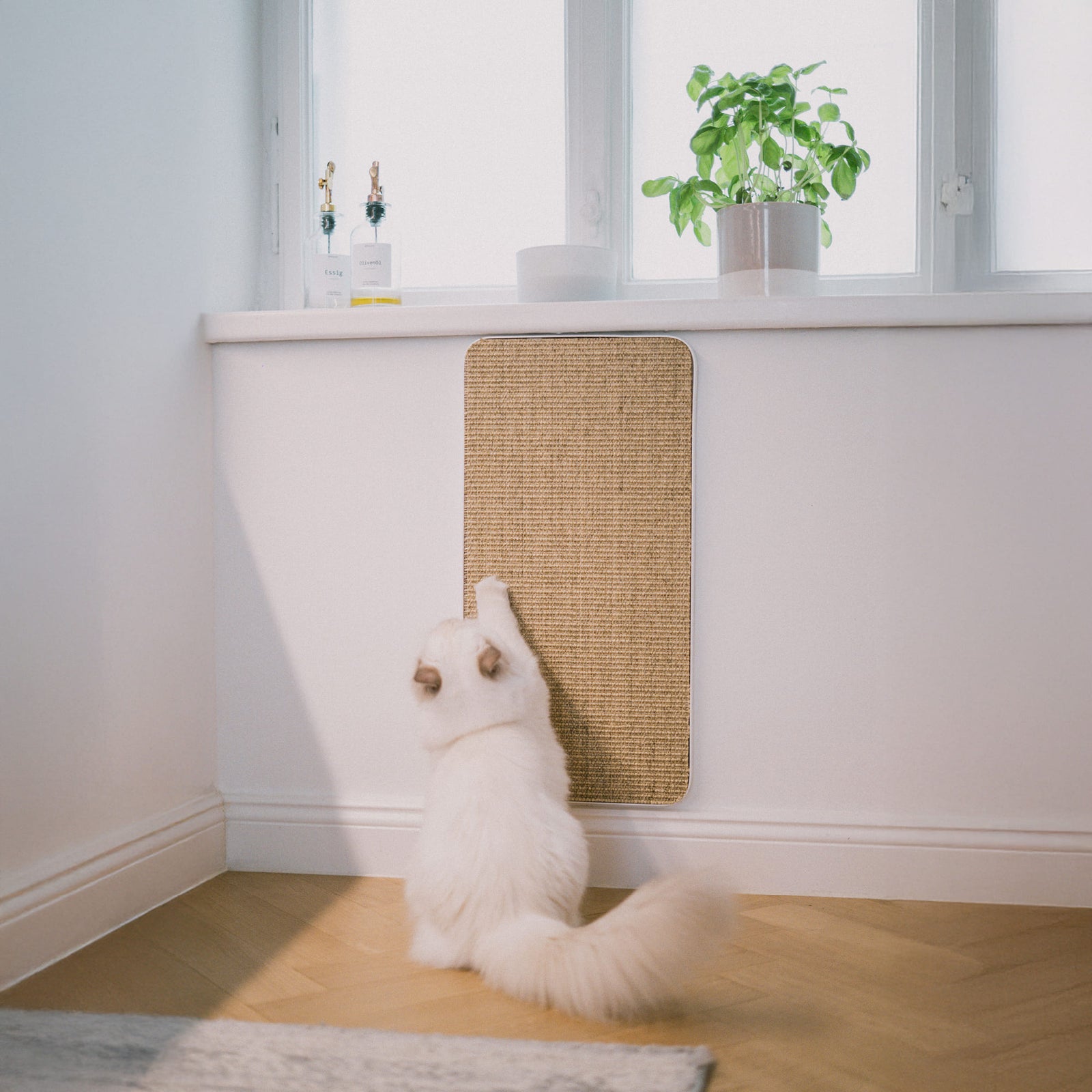 SCRATCHPAD Kratzbrett zur Wandmontage, Katze beim Kratzen