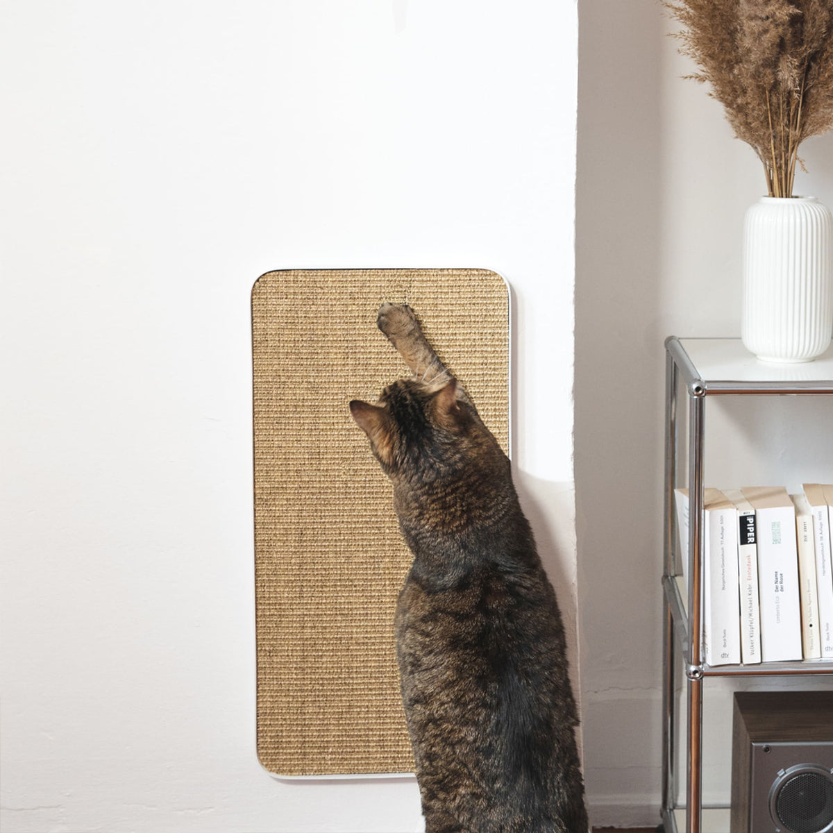 Katze kratzt am weißen SCRATCHPAD Kratzbrett an der Wand