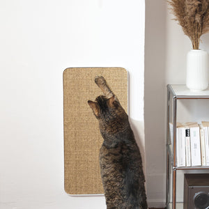 Katze kratzt am weißen SCRATCHPAD Kratzbrett an der Wand