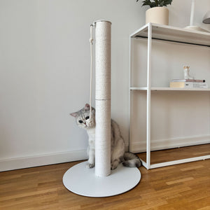 Gattino seduto accanto alla colonna tiragraffi PAPERPOLE in bianco – interno luminoso con scaffale.
