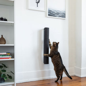 Katzenkratzstamm für die Wand in anthrazit