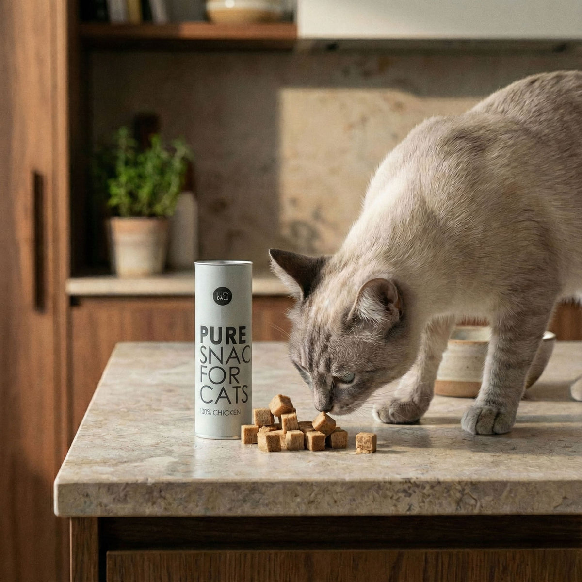 Katze schnuppert an PURE Katzensnack auf Küchentheke