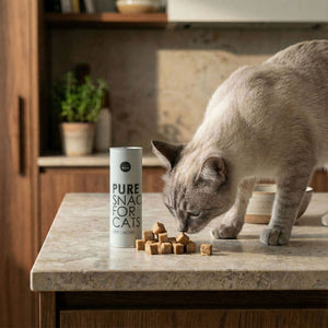 Katze schnuppert an PURE Katzensnack auf Küchentheke