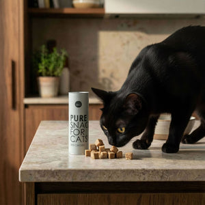 Katze schnuppert an PURE Katzensnack Huhn – gefriergetrocknete Häppchen auf Küchentheke
