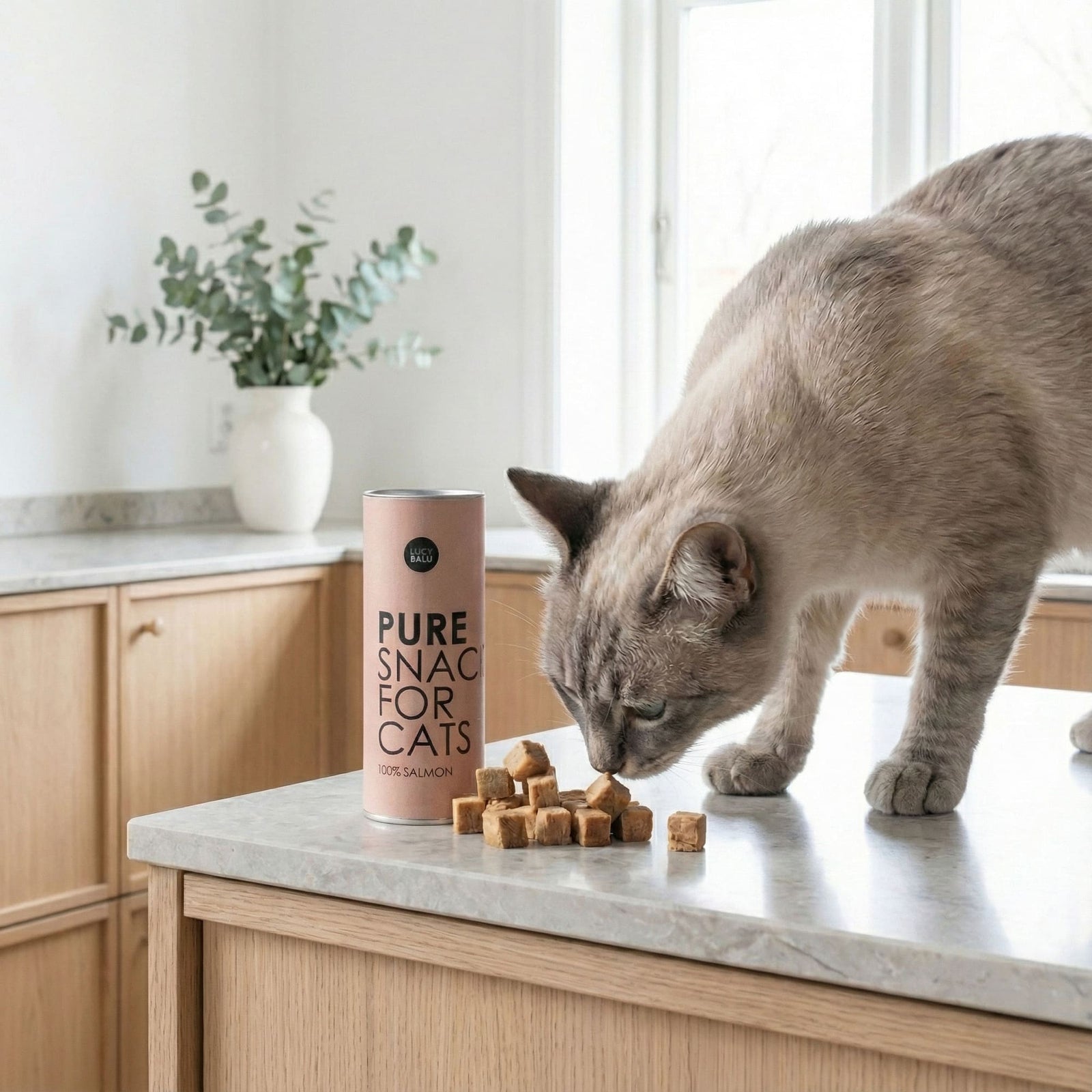PURE Katzensnack Lachs – Katze schnuppert an gefriergetrockneten Häppchen auf Küchentheke
