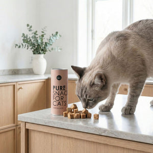 PURE Katzensnack Lachs – Katze schnuppert an gefriergetrockneten Häppchen auf Küchentheke