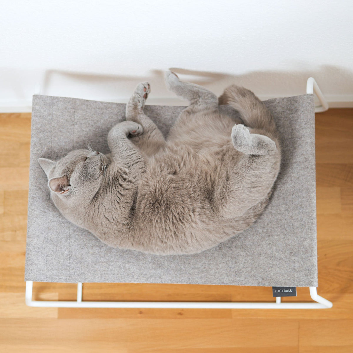 Katze räkelt sich rücklings auf der grauen FLOAT Hängematte, Ansicht von oben