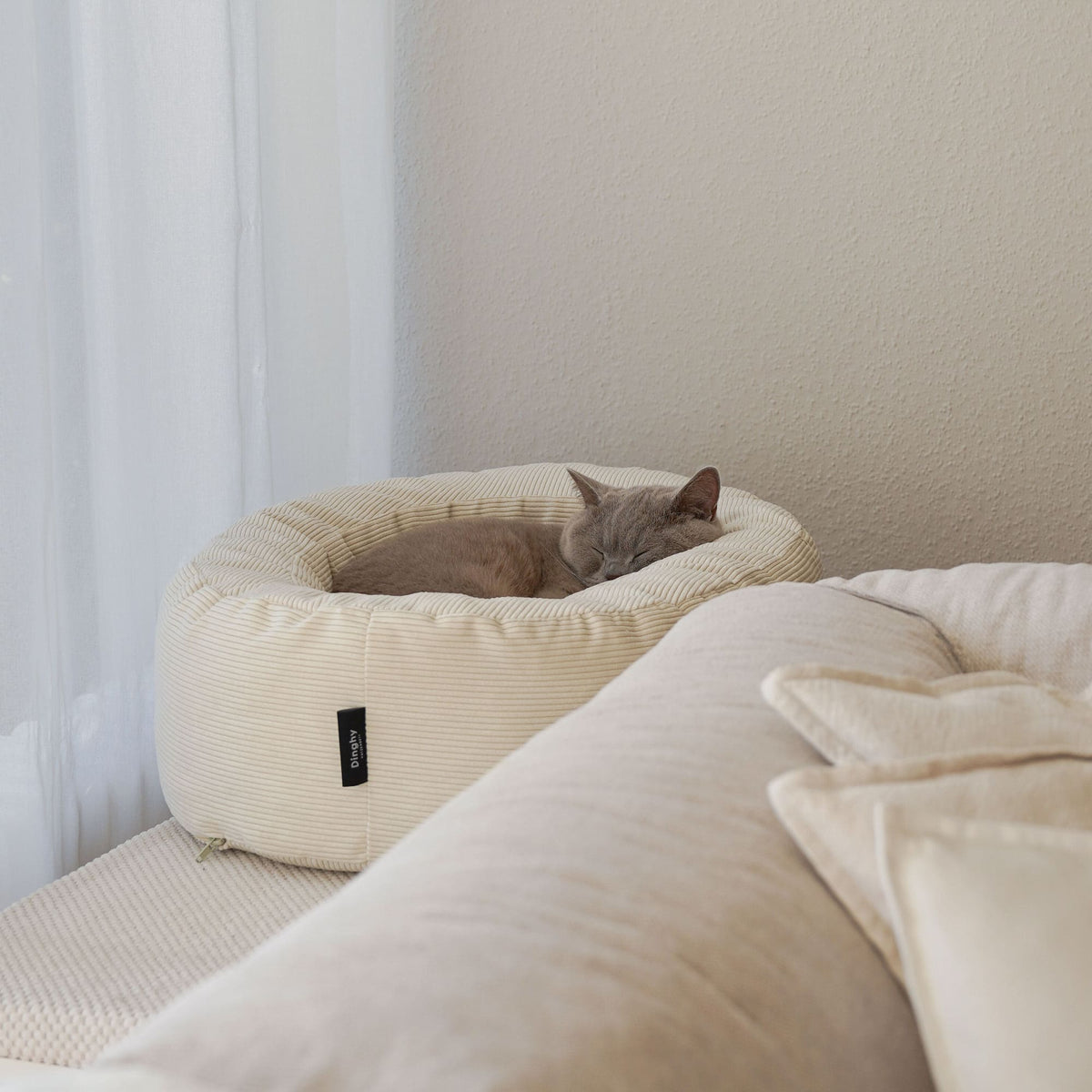 Cuccia per gatti DINGHY in bianco crema, gatto che dorme rannicchiato vicino alla finestra