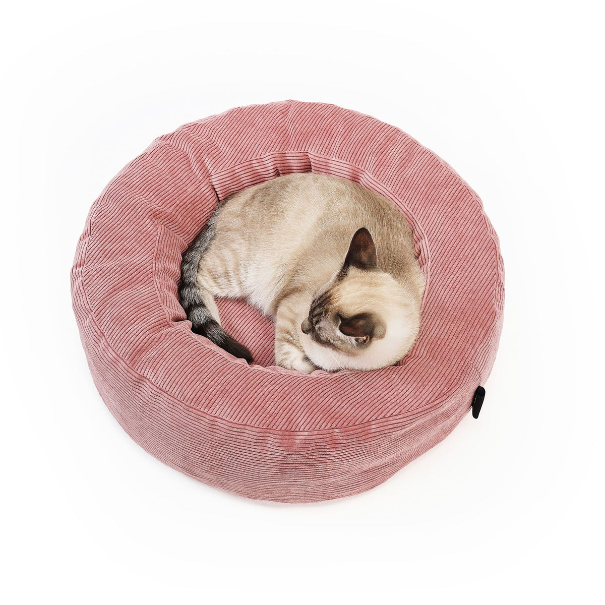 NEST Katzenbett in Rosa, Siamkatze schläft eingerollt im runden Cordbett