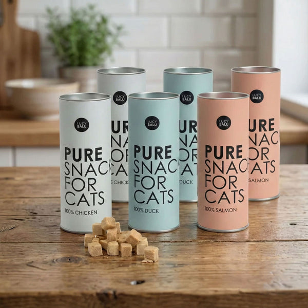PURE Katzensnacks 6er Bundle – sechs Dosen in Huhn, Ente und Lachs auf Holztisch