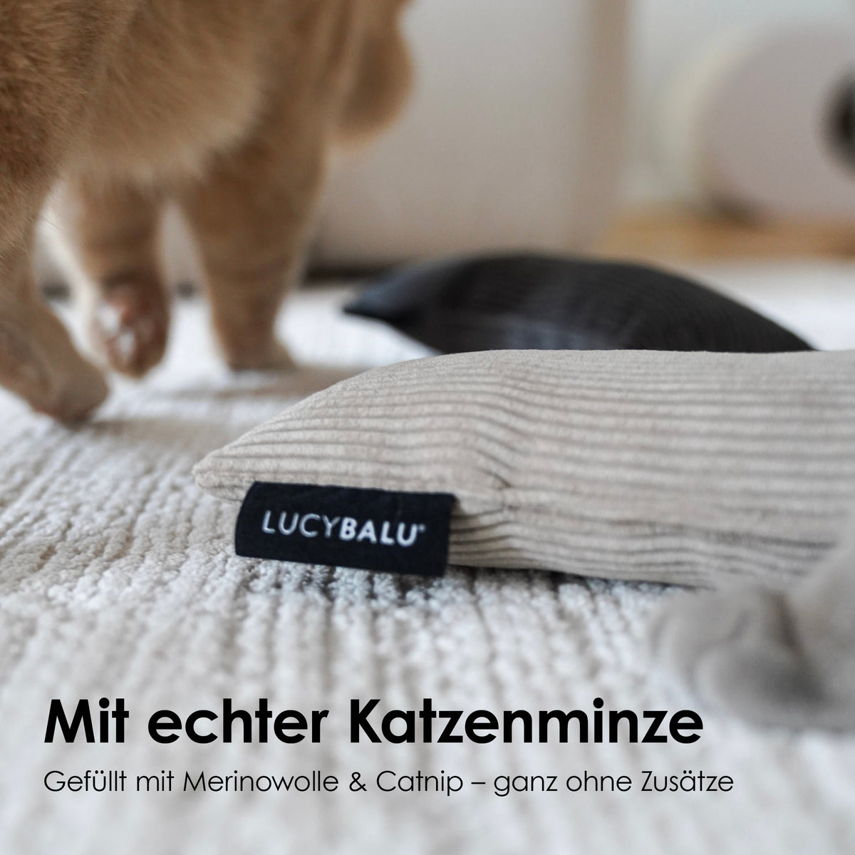 KICK BUNNY Kissen aus Cord mit Katzenminze und Merinowolle für Katzen