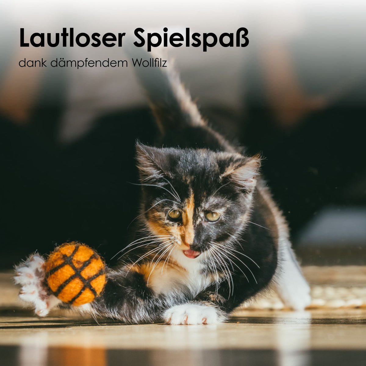 Kätzchen spielt mit orangenem SUPER BALLS Basketball aus dämpfendem Wollfilz