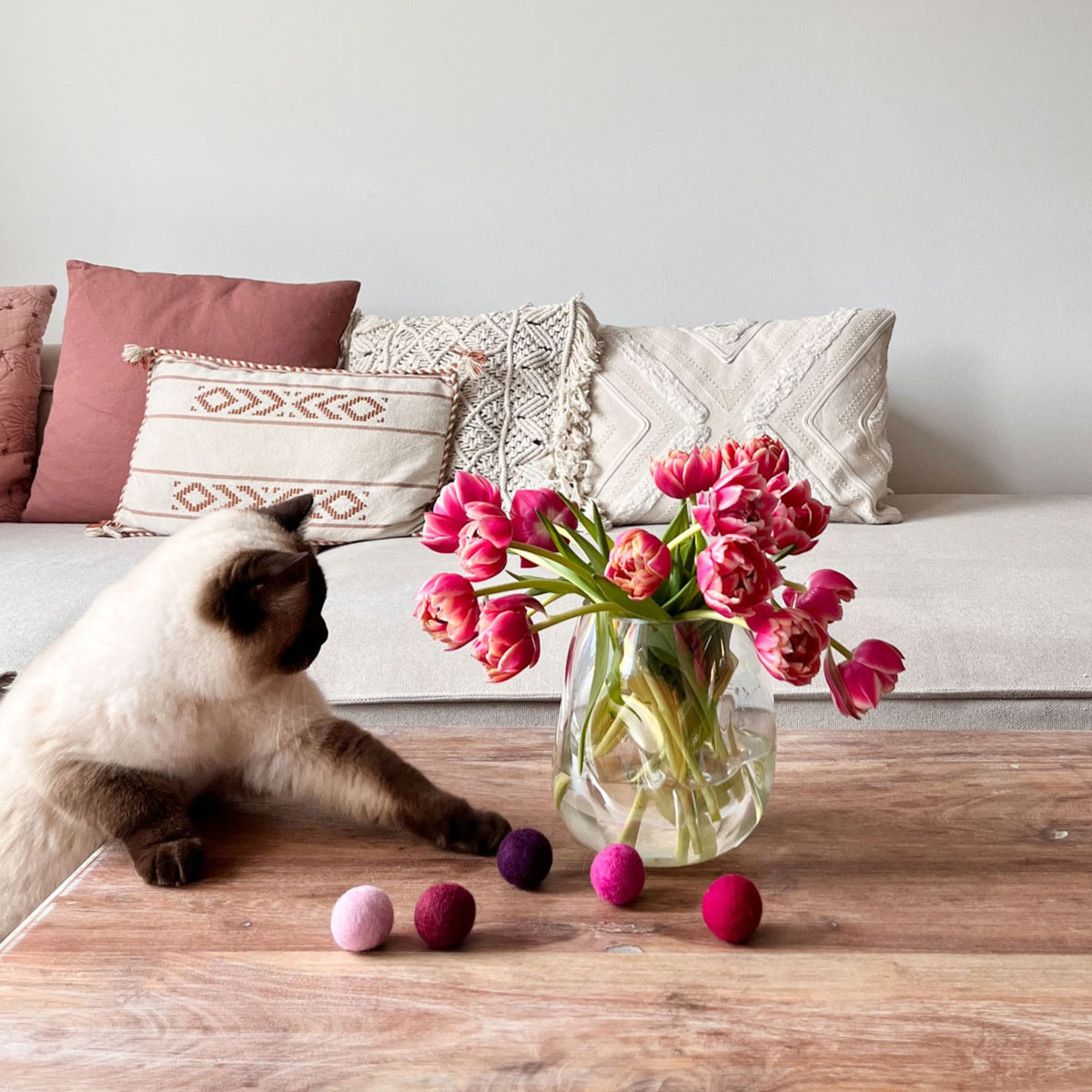 Gatto gioca con le palline di feltro MAGIC MAGENTA accanto a un mazzo di tulipani