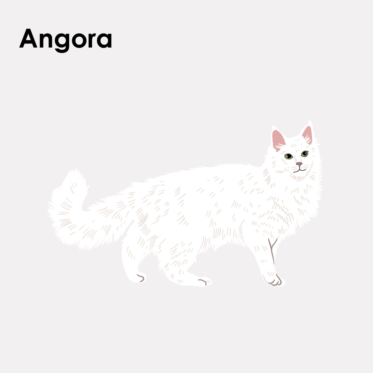 Adesivo in feltro STICKY CATS con motivo angora