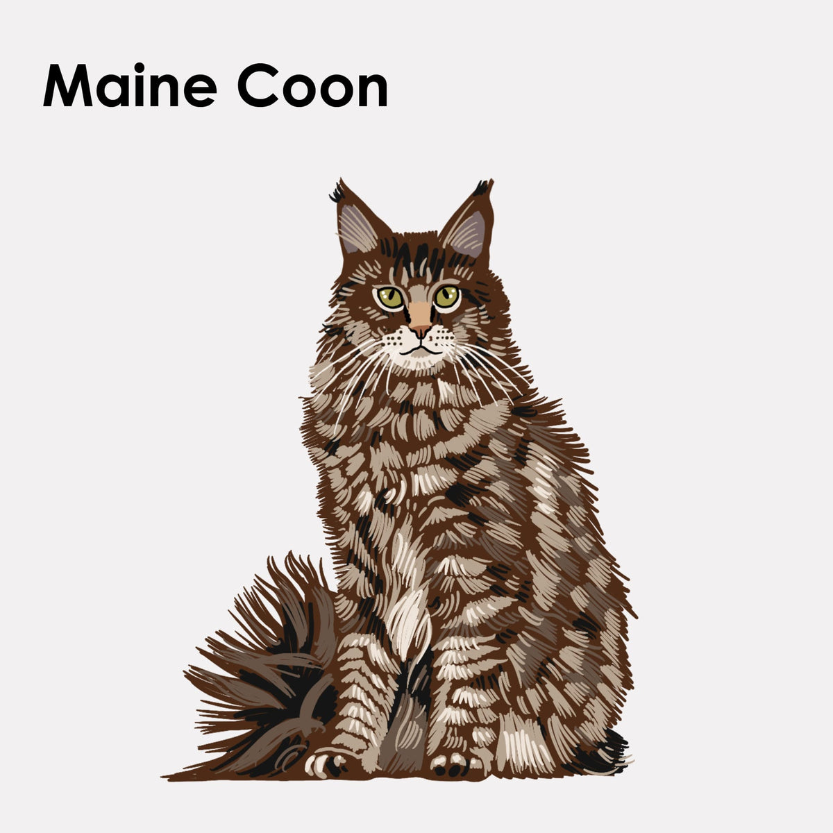 Adesivo in feltro STICKY CATS con motivo Maine Coon