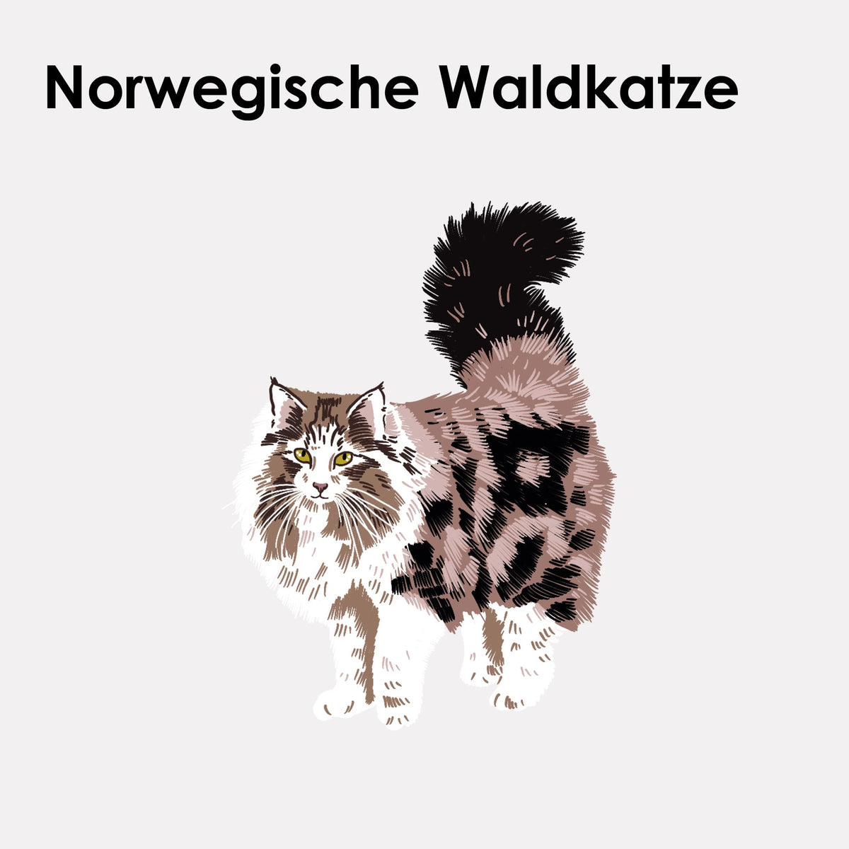 Adesivo in feltro STICKY CATS con motivo gatto delle foreste norvegesi