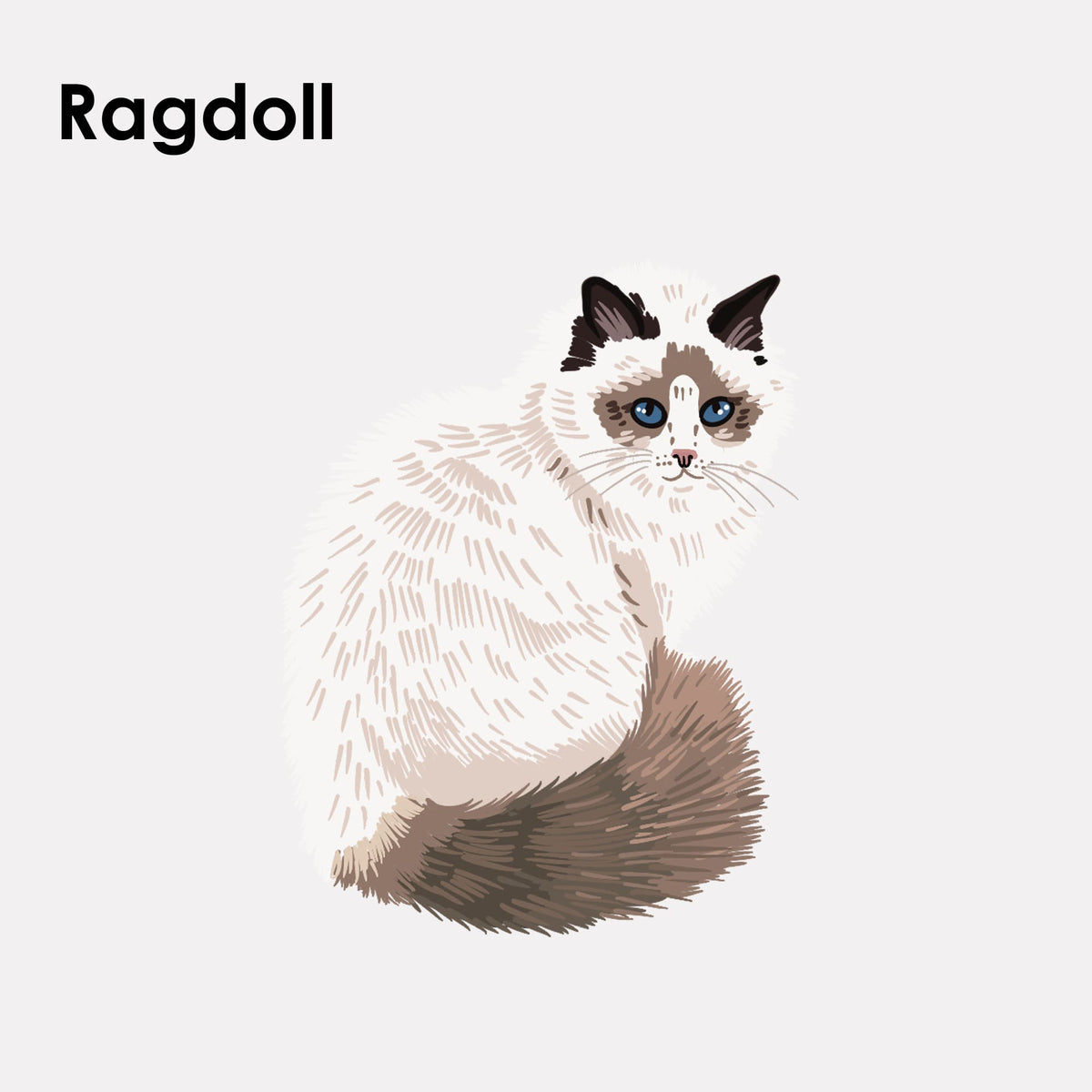 Adesivo in feltro STICKY CATS con motivo Ragdoll