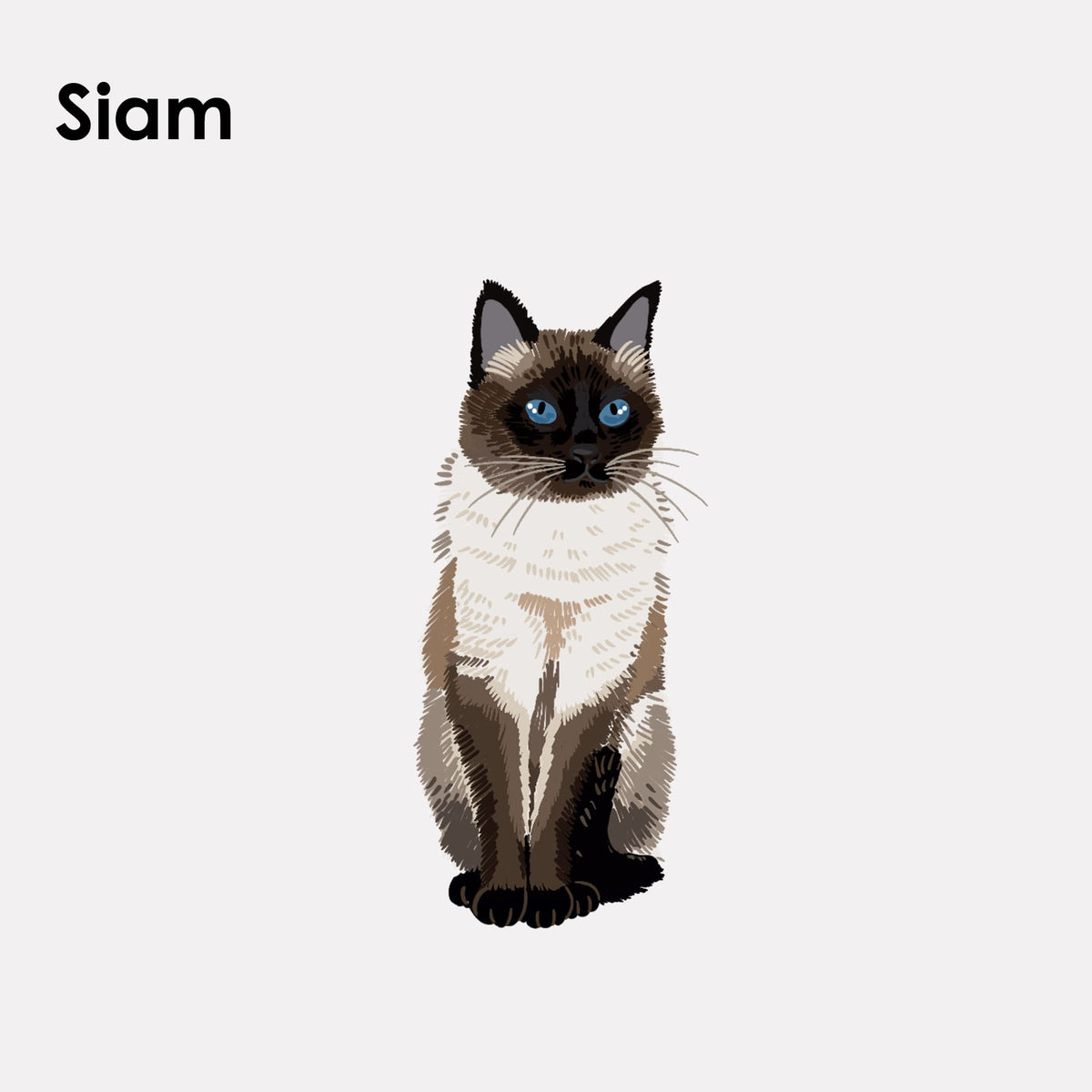 Adesivo in feltro STICKY CATS con motivo siamese