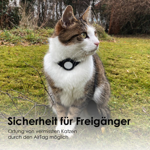 Getigerte Katze mit schwarzem NEMO AirTag Halsband auf Wiese, Sicherheit für Freigänger