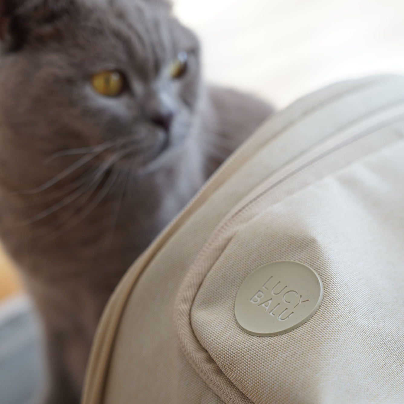 CHECK-IN Sac de transport pour chats