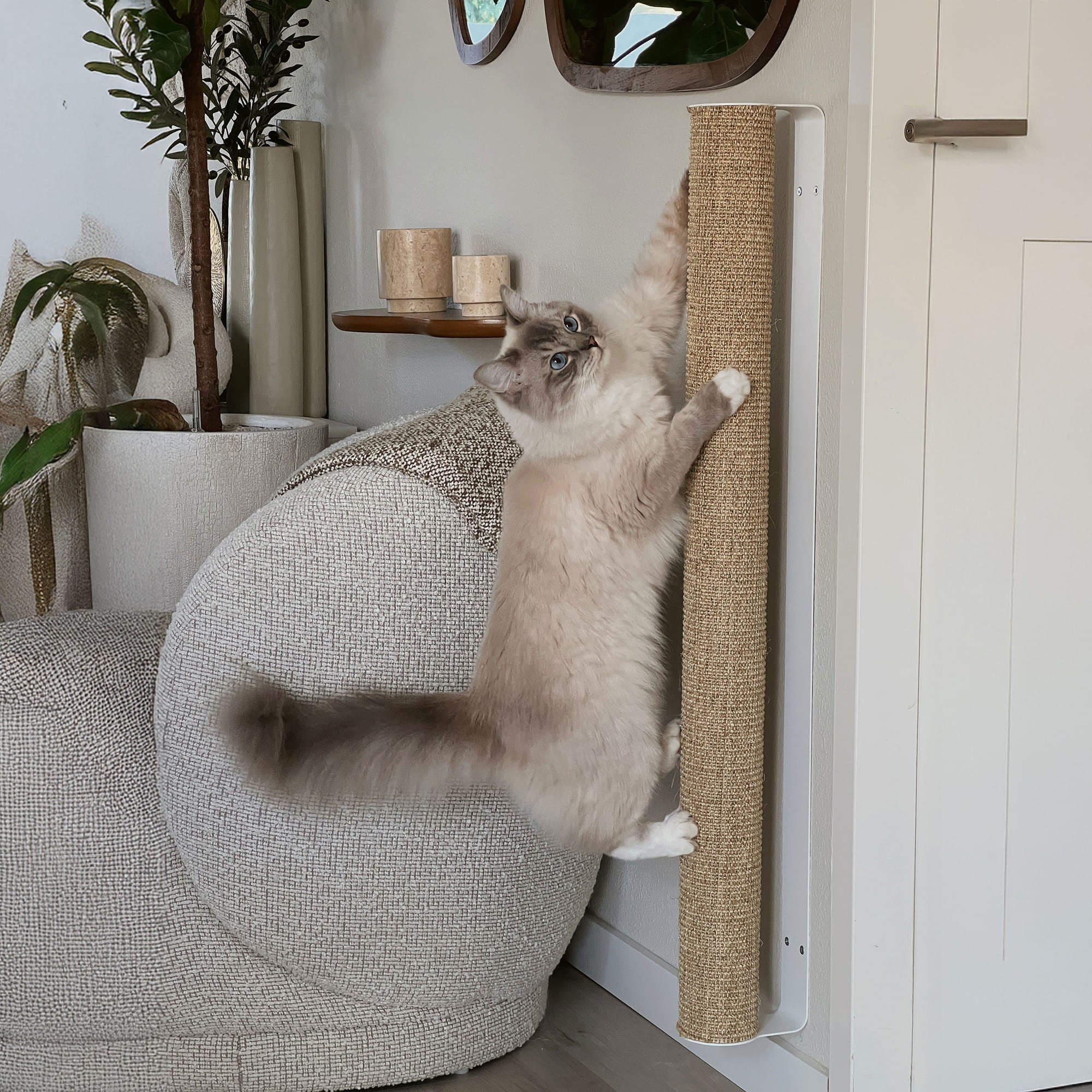 CATWALK Kratzsäule aus Sisal mit Wandbefestigung