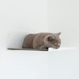 Gatto grigio sdraiato sulla mensola a parete STRAIGHT in bianco – montaggio ad angolo minimalista.