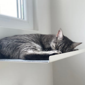 Gatto che dorme sulla mensola a parete STRAIGHT in bianco vicino alla finestra.