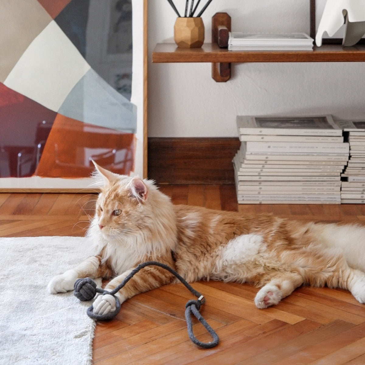 Gatto sdraiato accanto al gioco da lancio KNOT BALLS antracite e bianco su pavimento in legno