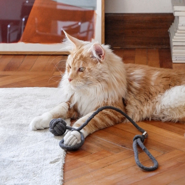 Rote Maine-Coon-Katze liegt auf Parkett neben KNOT BALLS Wurfspielzeug mit grauem Seil und Knotenbällen