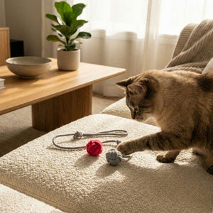 Gatto gioca con il gioco da lancio KNOT BALLS grigio e rosa su un cuscino da seduta