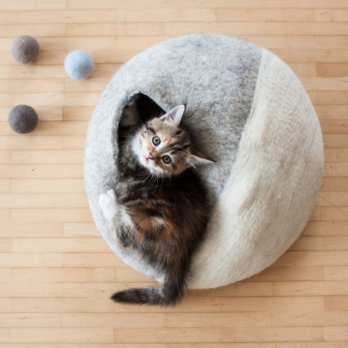 Gattino nella tana per gatti accanto alle palline di feltro SOUND BALLS con campanellino