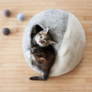 Gattino nella tana per gatti accanto alle palline di feltro SOUND BALLS con campanellino