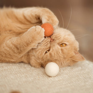 Katze spielt mit zwei PEACH FUZZ Filzbällen im Gesicht