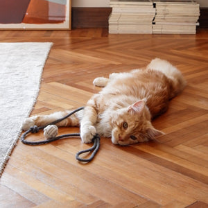 Gatto sdraiato con il gioco da lancio KNOT BALLS antracite e bianco su pavimento in legno